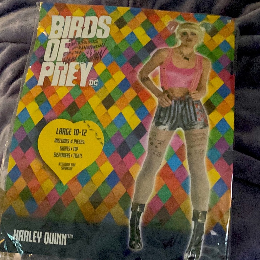 Harley Quinn (Birds of Prey) Cosplay. Large.